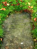 image of grave number 37486